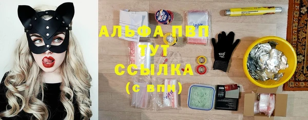 дмт Алексин